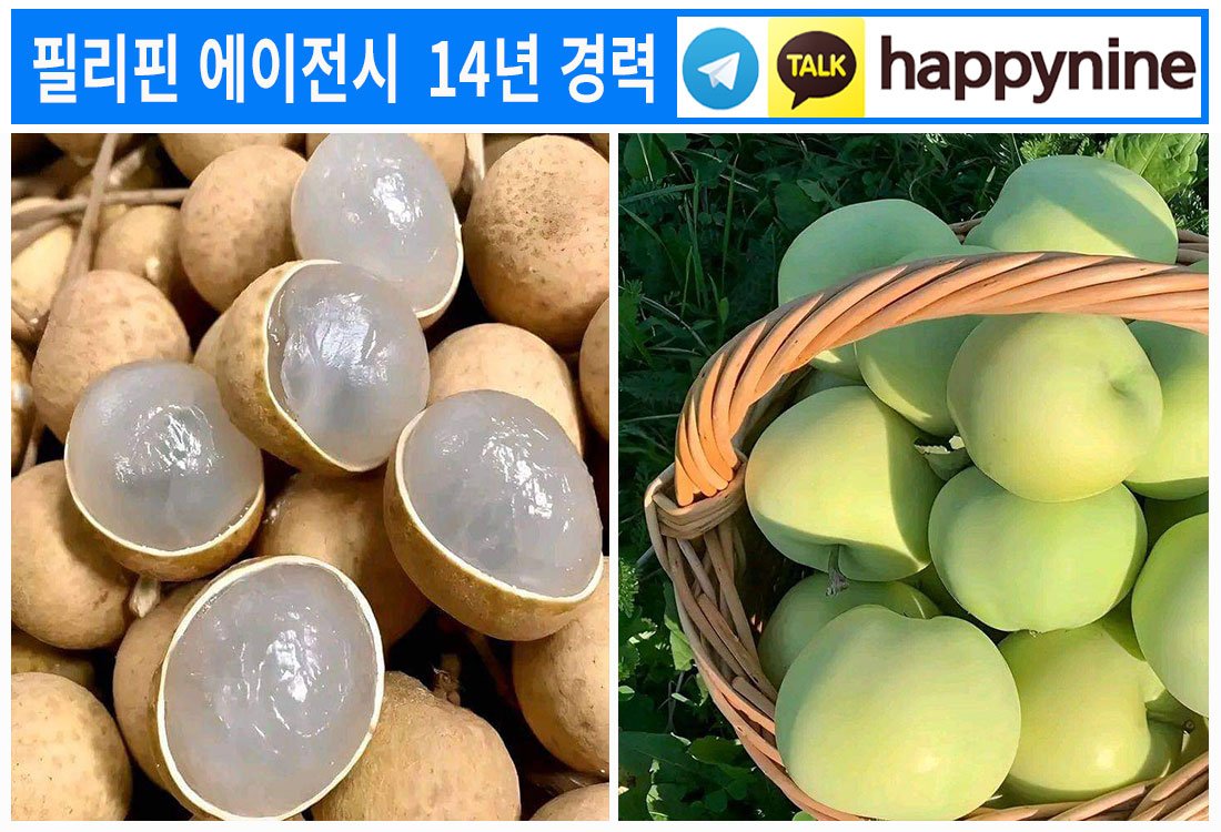 2025년-필리핀카지노141.jpg