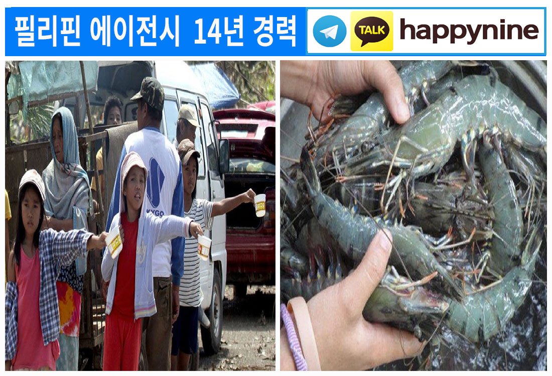 2025년-필리핀카지노98.jpg 2025년-필리핀카지노98.jpg