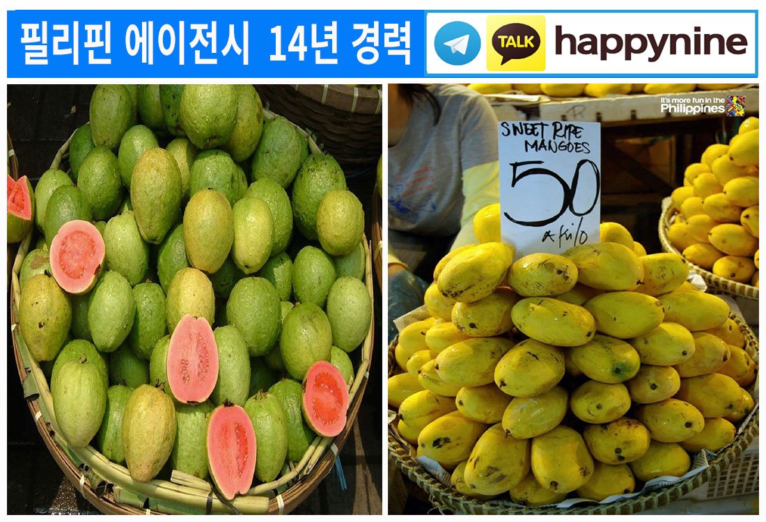 2025년-필리핀카지노99.jpg