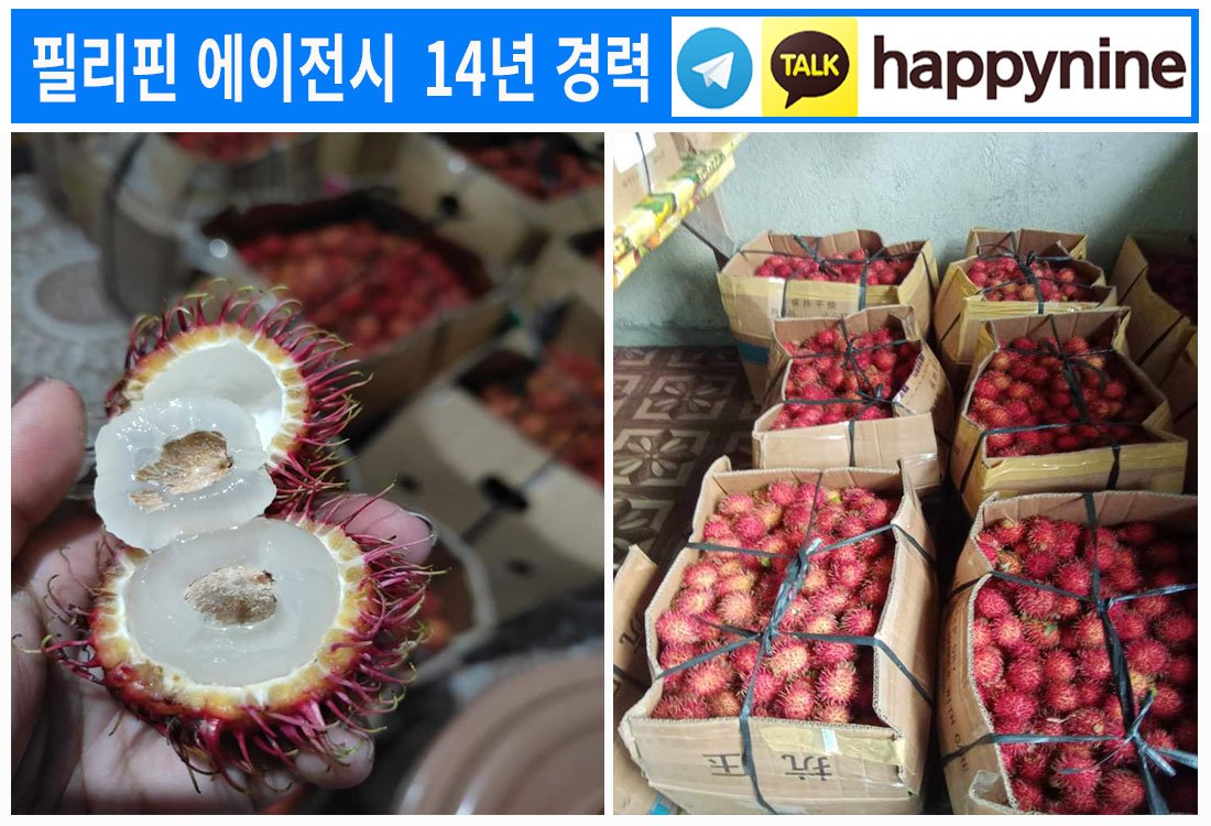 2025년-필리핀카지노180.jpg 2025년-필리핀카지노180.jpg