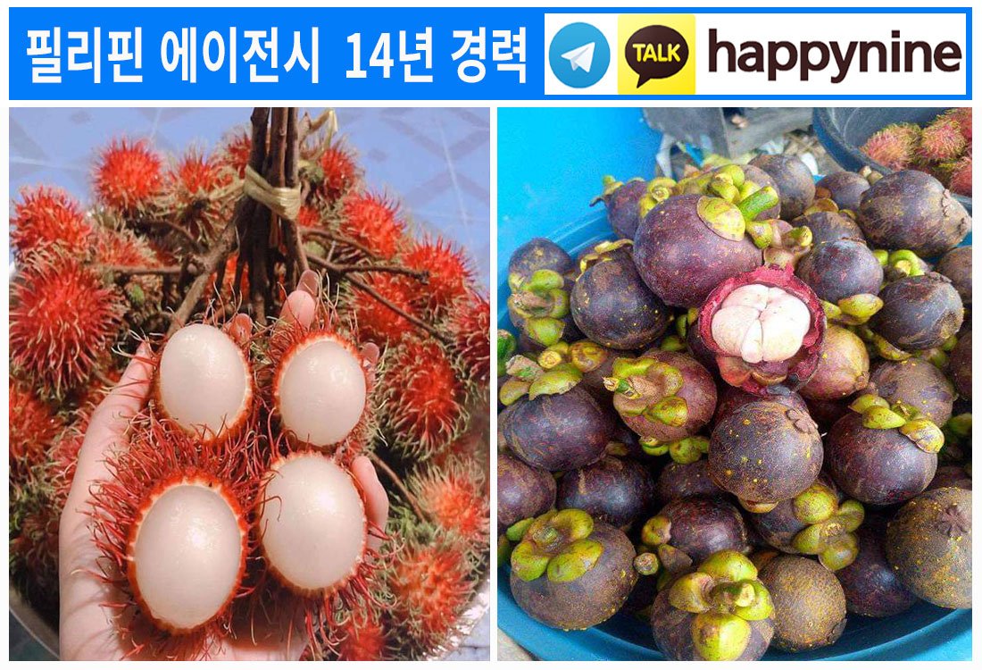 2025년-필리핀카지노152.jpg