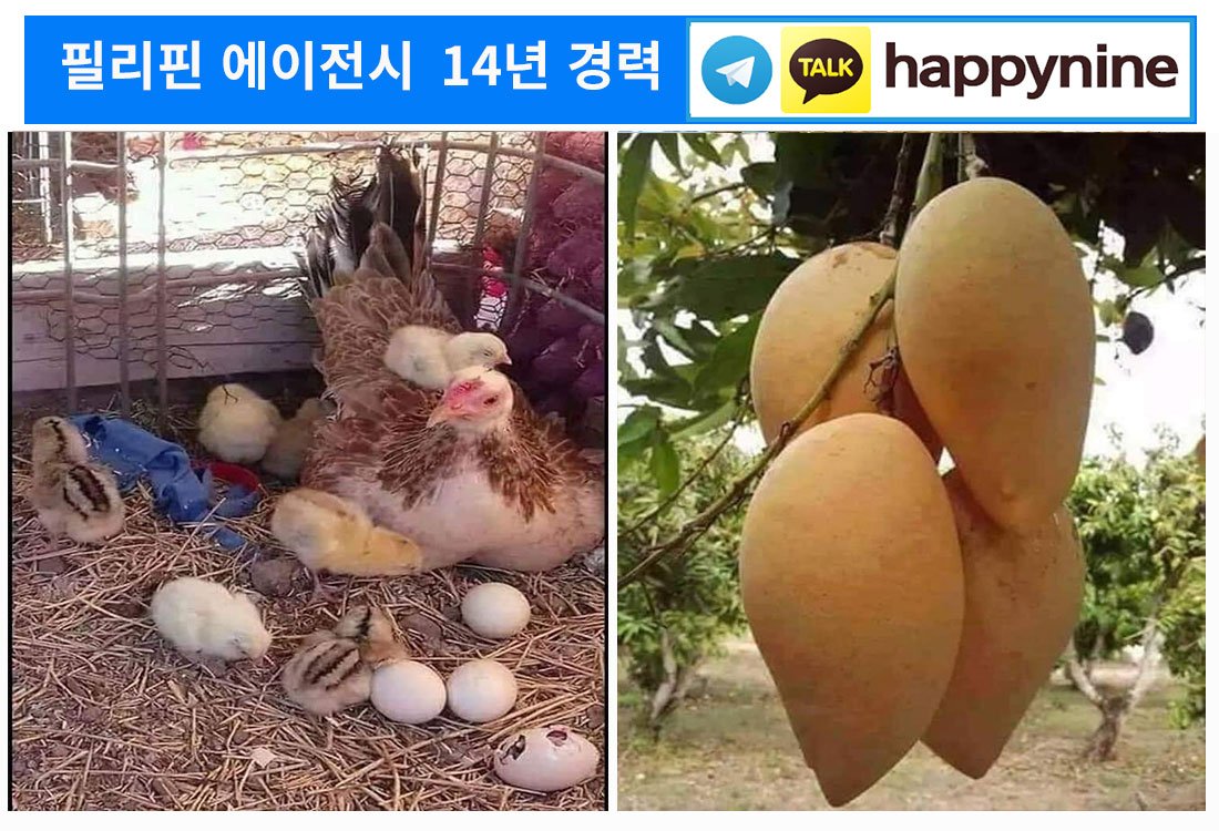 2025년-필리핀카지노38.jpg